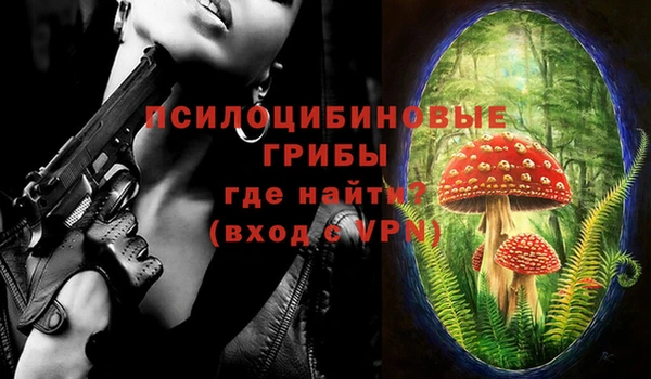 альфа пвп Армянск